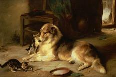 Kittens and Dog, 1881-Walter Hunt-Giclee Print