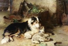 Kittens and Dog, 1881-Walter Hunt-Giclee Print