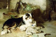 Motherless: the Shepherd's Pet, 1897-Walter Hunt-Framed Giclee Print