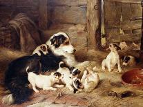 Motherless-The Shepherd's Pet, 1897-Walter Hunt-Giclee Print
