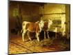 Premium Giclee Print