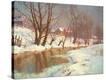Stretched Canvas Print