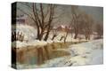 Stretched Canvas Print