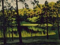 Pines Along the Shore of a Lake-Walter Leistikow-Framed Giclee Print