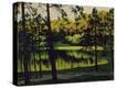 Stretched Canvas Print