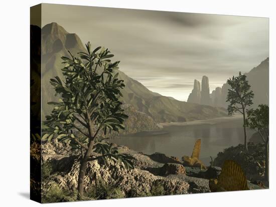 Stretched Canvas Print, , large