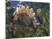 Photographic Print