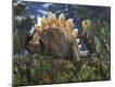 Photographic Print