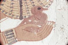 Wall Painting of Bird in Hand in Tomb of Nakht, Valley of Nobles, UNESCO World Heritage Site-Walter Rawlings-Photographic Print