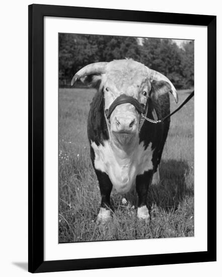 Photographic Print, , large