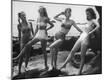 Premium Photographic Print