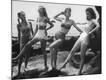 Photographic Print