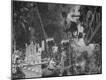 Photographic Print