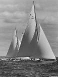 New York Yacht Club Races-Walter Sanders-Photographic Print