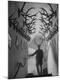 Premium Photographic Print