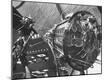 Photographic Print
