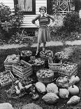 Woman Looking at Victory Garden Harvest Sitting on Lawn, Waiting to Be Stored Away for Winter-Walter Sanders-Photographic Print