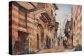Stretched Canvas Print