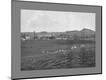 Photographic Print
