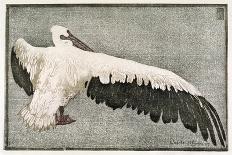 Pelican with Outspread Wings-Walther Klemm-Premier Image Canvas