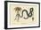 Wampum Snake-Mark Catesby-Framed Premium Giclee Print