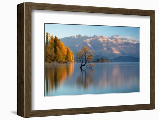 wanaka-1-Lincoln Harrison-Framed Photo