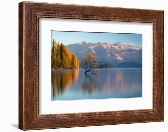 wanaka-1-Lincoln Harrison-Framed Photo