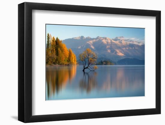 wanaka-1-Lincoln Harrison-Framed Photo