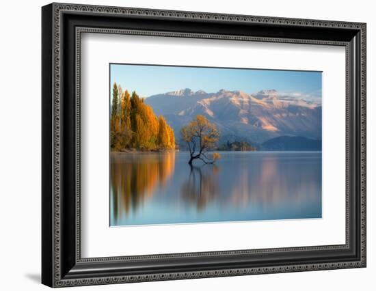 wanaka-1-Lincoln Harrison-Framed Photo