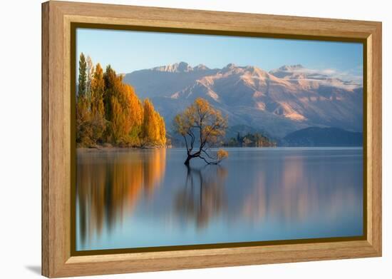 wanaka-1-Lincoln Harrison-Framed Stretched Canvas