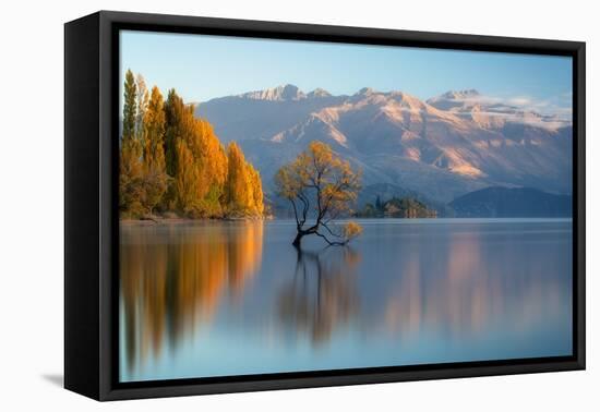 wanaka-1-Lincoln Harrison-Framed Stretched Canvas