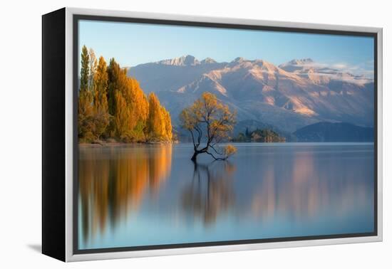 wanaka-1-Lincoln Harrison-Framed Stretched Canvas