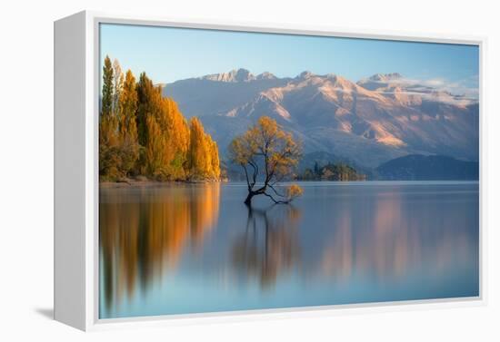 wanaka-1-Lincoln Harrison-Framed Stretched Canvas