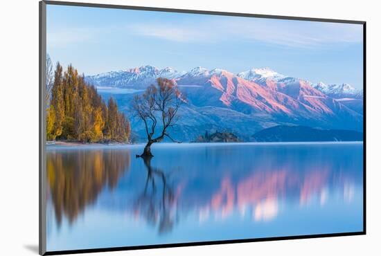 Wanaka Tree, Southern Alps and Autumn Leaves Standing on Lake Wanaka in New Zealand-pespiero-Mounted Photographic Print