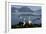 Wandering Albatross Courtship Display-null-Framed Photographic Print