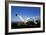 Wandering Albatross Courtship Display-null-Framed Photographic Print