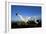 Wandering Albatross Courtship Display-null-Framed Photographic Print