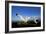 Wandering Albatross Courtship Display-null-Framed Photographic Print