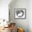 Wandering Bunny-Virginia Kraljevic-Framed Giclee Print displayed on a wall