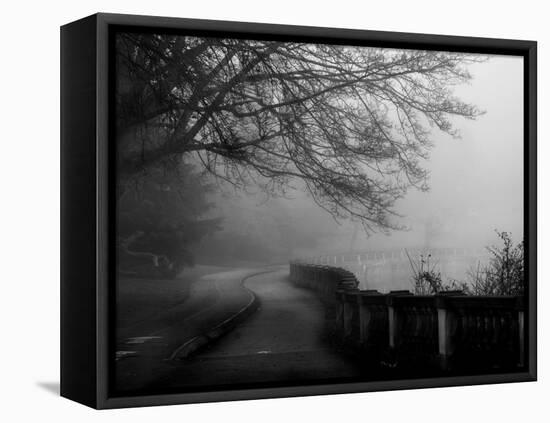 Wandering, Dreaming-Sharon Wish-Framed Premier Image Canvas