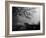 Wandering, Dreaming-Sharon Wish-Framed Photographic Print