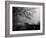 Wandering, Dreaming-Sharon Wish-Framed Photographic Print