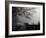 Wandering, Dreaming-Sharon Wish-Framed Photographic Print