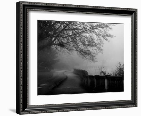 Wandering, Dreaming-Sharon Wish-Framed Photographic Print