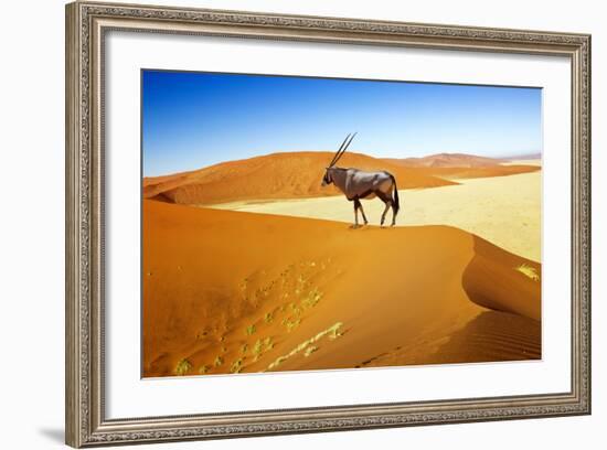 Wandering Dune of Sossuvlei in Namibia with Oryx Walking on It-mezzotint-Framed Photographic Print