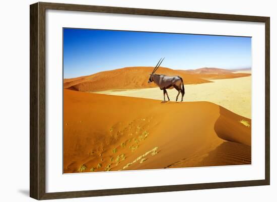 Wandering Dune of Sossuvlei in Namibia with Oryx Walking on It-mezzotint-Framed Photographic Print