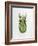 Wandering Leaf, Phyllium Giganteum, , Green, Female, Animal, Insect, Ghost Locust, Locust-Hawi-Framed Photographic Print