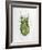 Wandering Leaf, Phyllium Giganteum, , Green, Female, Animal, Insect, Ghost Locust, Locust-Hawi-Framed Photographic Print