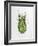 Wandering Leaf, Phyllium Giganteum, , Green, Female, Animal, Insect, Ghost Locust, Locust-Hawi-Framed Photographic Print
