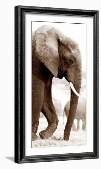 Wandering-Jorge Llovet-Framed Art Print